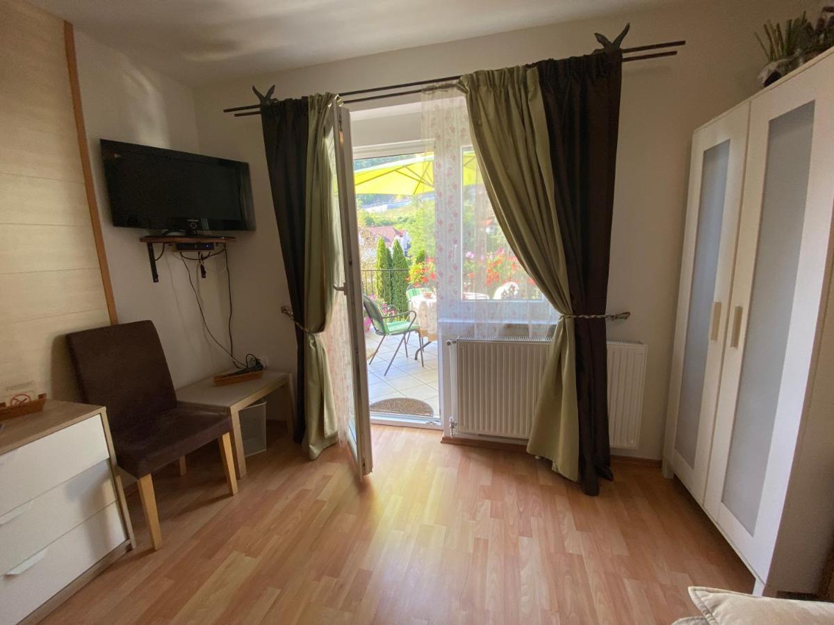 Apartment сarpe Diem Laško